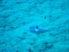 dsc02976_small.jpg