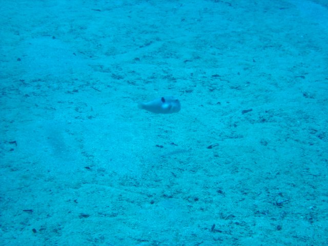dsc02977.jpg
