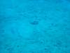 dsc02977_small.jpg