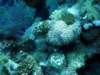dsc02978_small.jpg