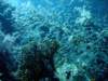 dsc02980_small.jpg