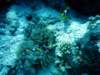 dsc02982_small.jpg
