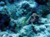 dsc02983_small.jpg