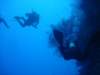 dsc02984_small.jpg