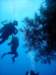 dsc02985_small.jpg
