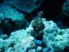 dsc02989_small.jpg