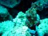 dsc02990_small.jpg