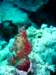 dsc02991_small.jpg