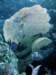 dsc02992_small.jpg