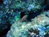 dsc02993_small.jpg