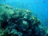 dsc02996_small.jpg