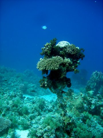 dsc02997.jpg