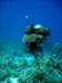 dsc02997_small.jpg
