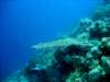 dsc02998_small.jpg