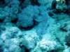 dsc03000_small.jpg