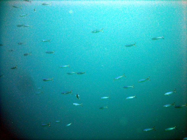 dsc03002.jpg