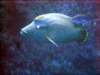 dsc03005_small.jpg