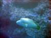 dsc03006_small.jpg