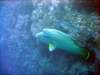 dsc03007_small.jpg