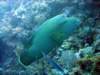 dsc03009_small.jpg