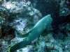 dsc03010_small.jpg