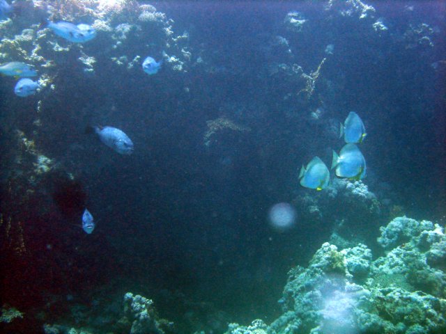 dsc03012.jpg