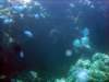 dsc03012_small.jpg