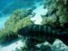 dsc03014_small.jpg