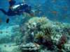 dsc03015_small.jpg