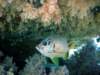 dsc03016_small.jpg