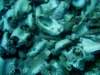 dsc03017_small.jpg