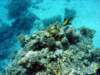 dsc03019_small.jpg