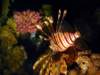 dsc03023_small.jpg