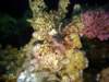 dsc03024_small.jpg