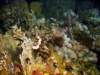 dsc03026_small.jpg