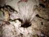 dsc03029_small.jpg