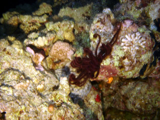 dsc03030.jpg