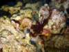 dsc03030_small.jpg