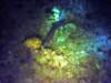 dsc03031_small.jpg