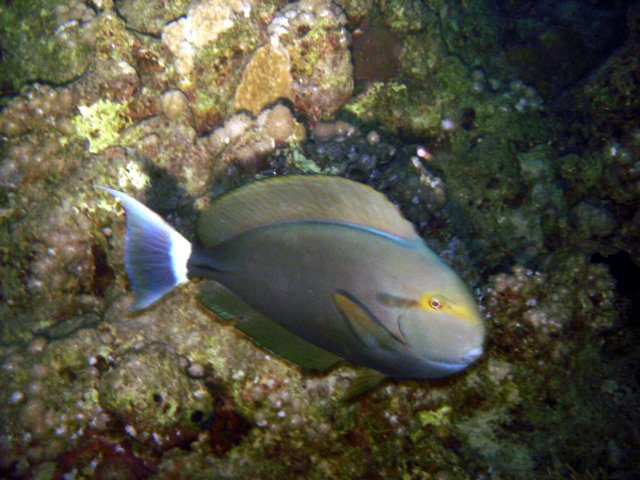 dsc03033.jpg