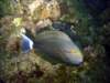 dsc03033_small.jpg