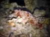 dsc03035_small.jpg