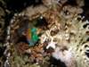 dsc03036_small.jpg