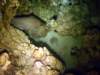 dsc03037_small.jpg