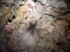 dsc03039_small.jpg