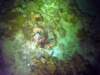 dsc03042_small.jpg