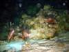 dsc03046_small.jpg