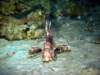 dsc03047_small.jpg