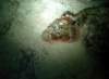 dsc03049_small.jpg
