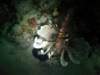 dsc03056_small.jpg